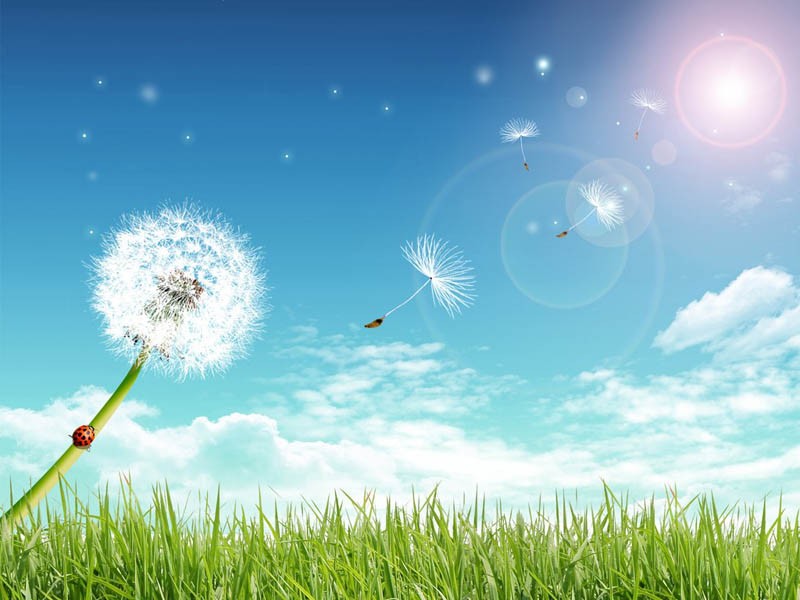 如何注册欧意交易所账户 欧意APP功能评测：全面性与实用性分析  